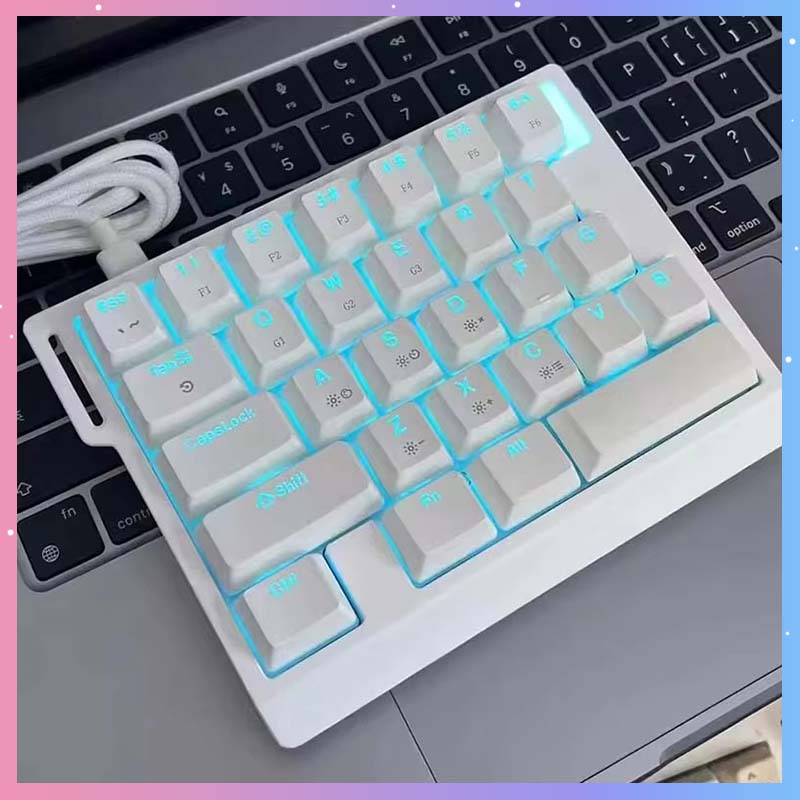 HE30 メカニカルゲーミングキーボード 29キー 磁気スイ - Gaming Keyboard Mechanical のレビューと価格